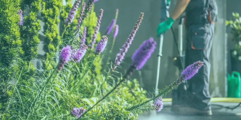 Spring Cleaning services Burpengary